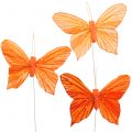 Floristik24 Decoratie vlinder oranje 12st