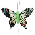 Floristik24 Decoratieve vlinders assorti 6cm 24st