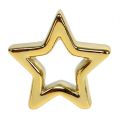Floristik24 Decoratieve ster goud 6,5 cm 6 stks