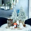 Floristik24 Decoratieve dennenboom met sneeuw, adventsdecoratie, dennenboom in pot H37cm