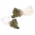 Floristik24 Decoratief koppel duiven Deco vogels met clip Goud L5cm 4st