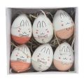Floristik24 Decoratieve eieren met gezicht wit, roze, grijs 7cm 6st