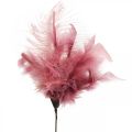Floristik24 Sierveren op stok vogelveren wit/creme/oud roze 3 stuks