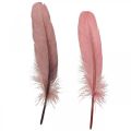 Decoratieve veren voor handwerk Dusky roze echte vogelveren 20g