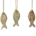 Floristik24 Decoratieve vis om op te hangen houten vis bruin wit assorti 10cm 4 stuks
