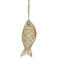 Floristik24 Decoratieve vis om op te hangen houten vis bruin wit assorti 10cm 4 stuks