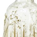 Floristik24 Decoratieve glazen vaas met echt gipskruid decor Ø9,5cm H18cm