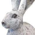 Floristik24 Decoratief konijn zittend shabby chic wit decoratief figuur H46,5cm