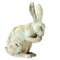 Floristik24 Decoratieve konijnen zittend staand witgoud H12,5x16,5cm 2st