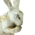 Floristik24 Decoratieve konijnen zittend staand witgoud H12,5x16,5cm 2st