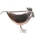 Deco Kip Metaal Deco Metaal Vogel Metallic Rosé 51×16×36cm