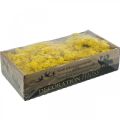Floristik24 Deco mos geel rendiermos voor handwerk citroengeel 500g