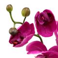 Floristik24 Decoratieve orchidee roze L77cm