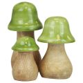 Floristik24 Decoratieve paddestoelen hout houten paddestoelen lichtgroen glanzend H6/8/10cm set van 3