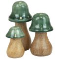 Floristik24 Decoratieve paddenstoelen houten paddenstoelen donkergroen glanzend H6/8/10cm set van 3