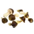 Floristik24 Decoratieve paddenstoelen in het net 5-8cm assorti. bruin 8st