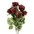 Floristik24 Deco roos snowed rood Ø6cm 6st