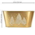 Decoratieve ovale schaal, kerstboomvormige plantenbak, goudkleurig, 24×13×12,5 cm | Floristik24.nl