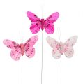 Floristik24 Deco vlinder roze-roze soort. 6cm 24st