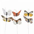 Floristik24 Deco vlinder op draad kleurrijke lentedecoratie 8cm 12st