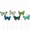 Floristik24 Deco vlinder op draad groen, blauw 5-6cm 24st