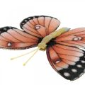 Floristik24 Decoratieve vlinders met clip B4,5–11,5cm 10st bruin oranje