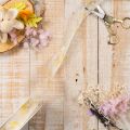 Decoratief lint met bladermotief, organza lint, 25 mm breed, 20 m lang | Floristik24.nl