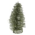 Floristik24 Decoratieve boom glinsterend zilver, lichtgroen H14cm 4st