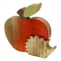 Floristik24 Decoratief figuur appel met egel rood, naturel 13cm 3st