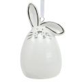 Floristik24 Decoratief konijntje om op te hangen wit, zilver 6st