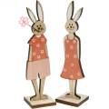 Floristik24 Decoratief figuur paashaas oranje, wit houten konijn paasdecoratie 6st
