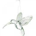 Floristik24 Decoratiekolibrie, glasdecoratie, paradijsvogel, glazen hanger, decoratievogel