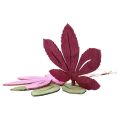 Decoratiehanger hout herfstbladeren roze paars groen 12x10cm 12st