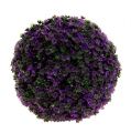 Floristik24 Decoratieve bal in paarse plantenbol kunst Ø18cm 1st
