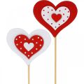 Floristik24 Decoratief plughart, huwelijksdecoratie, bloemdecoratie voor Valentijnsdag, hartdecoratie 18st