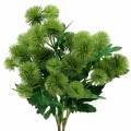 Floristik24 Thistle zijde bloem groen 56cm 3st