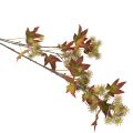 Kunstmatige herfsttak van een amberboom met bladeren en vruchtentrossen, 132 cm | Floristik24.nl