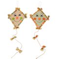 Floristik24 Decoratieve draak met gezicht en ophanghaak, herfstdecoratie, 40 cm, 2 stuks