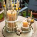 Floristik24 Gekleurde kaarsen Honing Diverse maten