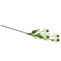 Floristik24 Echinacea bloem kunstmatig wit 90cm