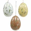 Floristik24 Paaseieren om op te hangen met motief eieren en veren wit, bruin, geel assorti 3st