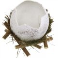 Floristik24 Paasdecoratie, ei in het nest, decoratief ei, vogelnest Ø9cm H10cm wit, natuurlijke kleuren 4st