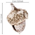 Eikels, natuurlijk decoratief product, witgekalkt, 1-3 cm, 300 g | Floristik24.nl