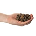 Natuurlijke eikelkapjes, decoratieve schalen voor de herfst en advent, 2 cm, 300 g | Floristik24.nl