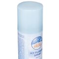 IJsbloemspray, decoratieve spray voor ramen en winterdecoratie op glas, 150 ml | Floristik24.nl