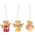 Floristik24 Decoratieve engelhanger met ster om op te hangen, 5 cm, 9 stuks