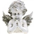 Floristik24 Bidden engel, begrafenis bloemisterij, buste van engel figuur, grafdecoratie H19cm B19.5cm