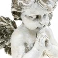 Floristik24 Bidden engel, begrafenis bloemisterij, buste van engel figuur, grafdecoratie H19cm B19.5cm