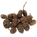Floristik24 Elzenkegels, natuurlijk product voor decoratie en knutselen, goudkleurig, 3 cm, 300 g