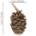 Elzenkegels, natuurlijk product voor decoratie en knutselen, goudkleurig, 3 cm, 300 g | Floristik24.nl